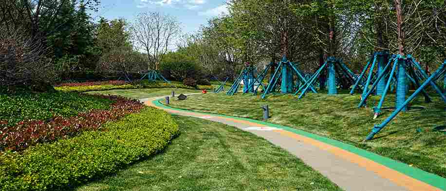 美彩国际(中国)有限公司