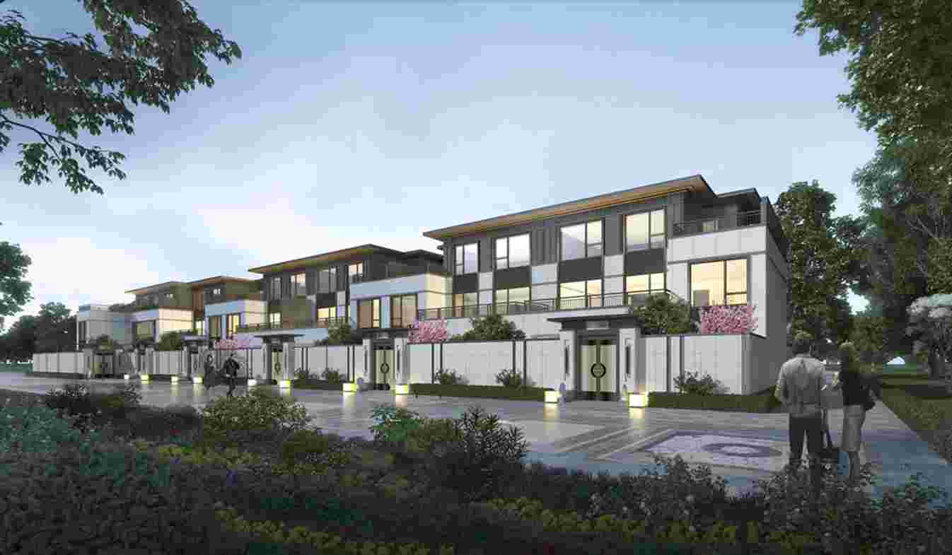 美彩国际(中国)有限公司