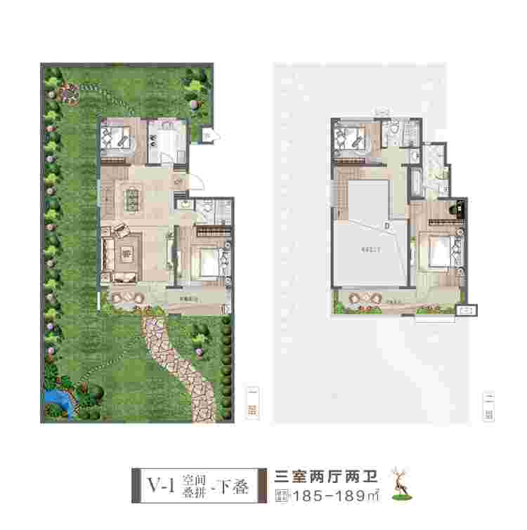 美彩国际(中国)有限公司