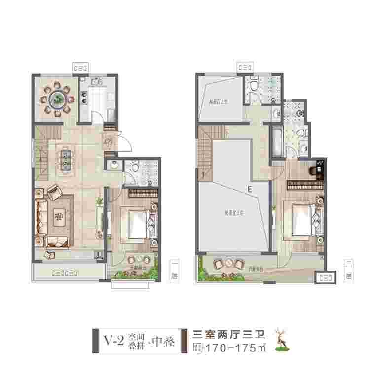 美彩国际(中国)有限公司