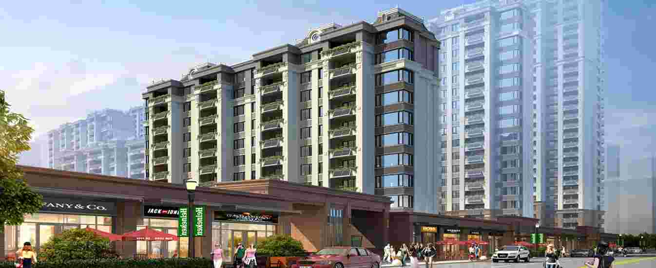 美彩国际(中国)有限公司