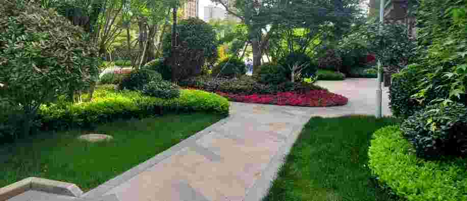 美彩国际(中国)有限公司