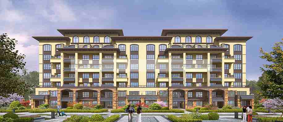 美彩国际(中国)有限公司