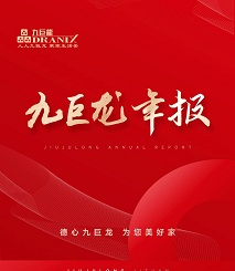 美彩国际 官网年报